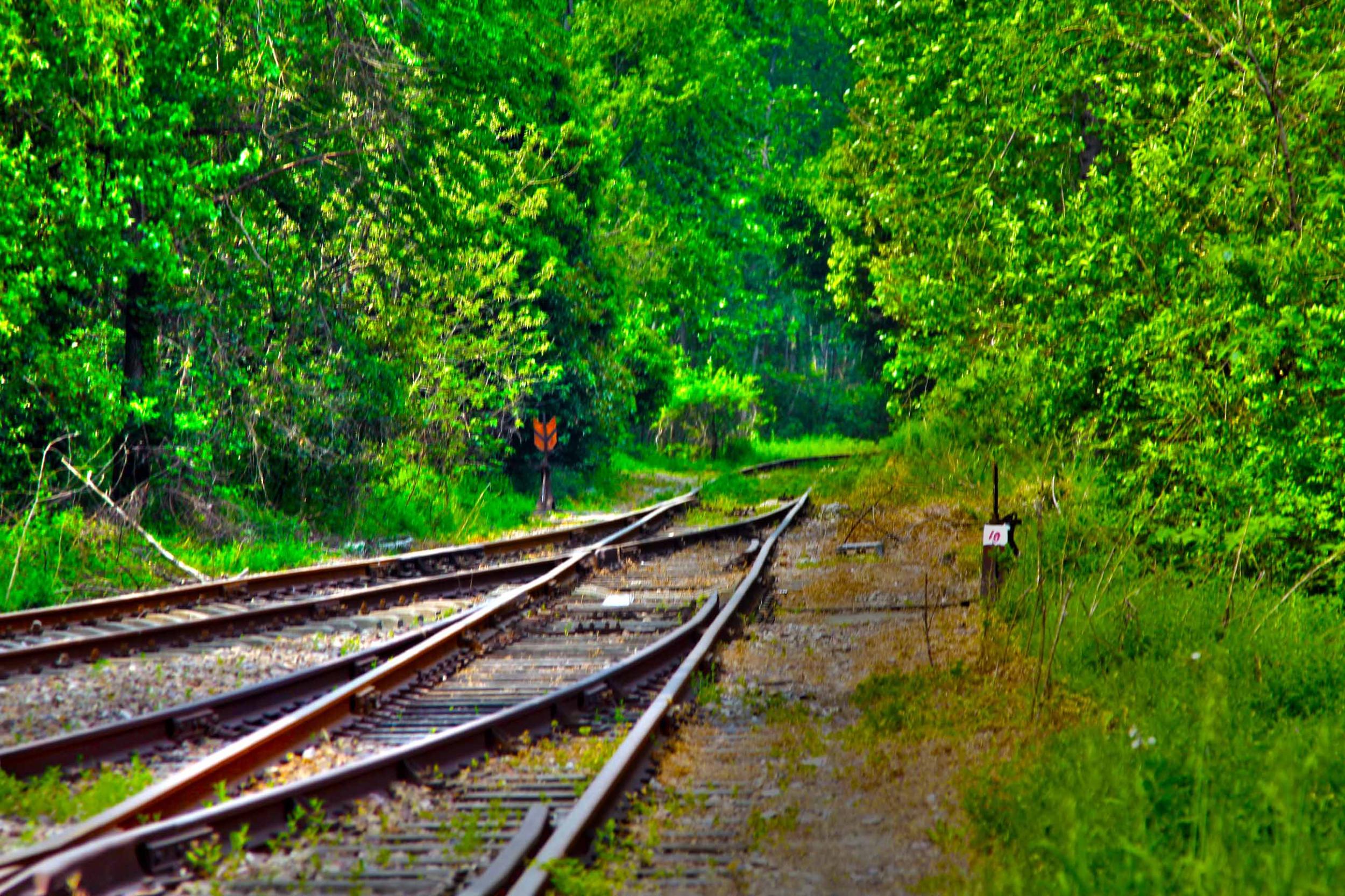 我省今年年內有4條鐵路線投入運營更多出行選擇！