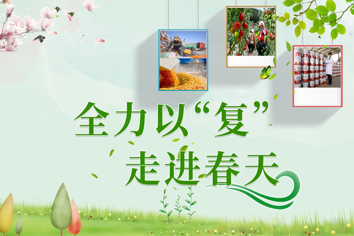 長圖|全力以“復”！甘肅走進春天里  