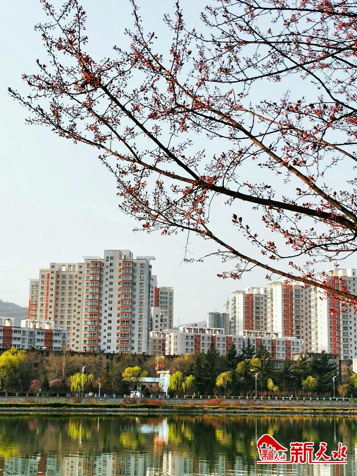 春天，古城天水的十個(gè)美麗瞬間