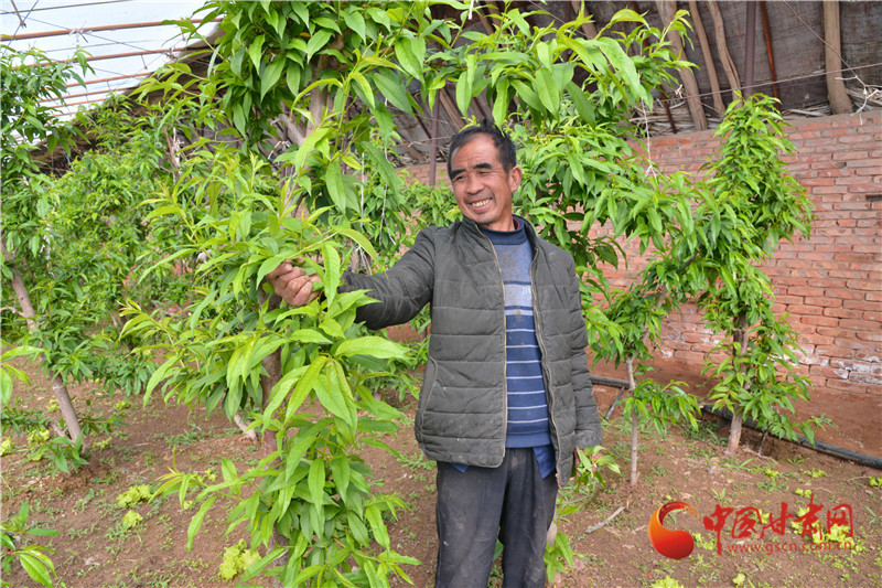 布谷飛飛勸早耕 春鋤撲撲趁初晴——玉門(mén)市三春生產(chǎn)見(jiàn)聞