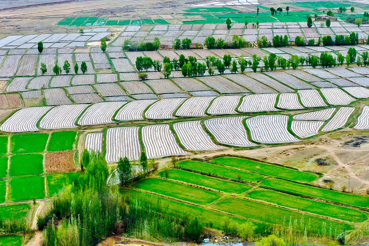 【小隴畫報·88期】甘肅山丹：騰退復(fù)墾 沃野縱橫煥生機(jī)