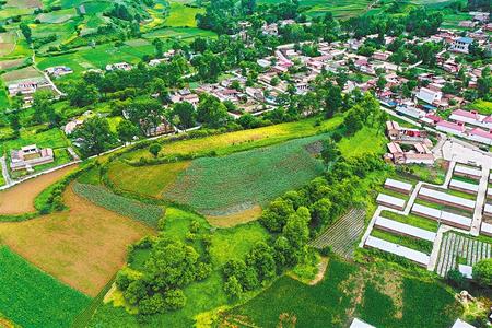 【溫暖的回響 滄桑巨變 飲水思源】這條路，通往幸福