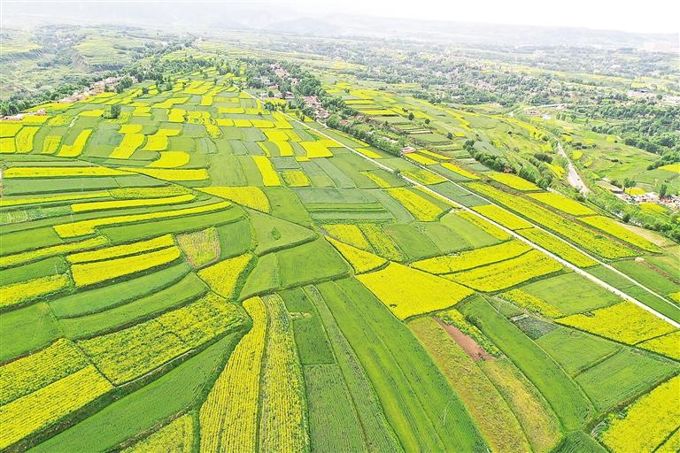 奮楫揚(yáng)帆風(fēng)正勁 爭先進(jìn)位正當(dāng)時(shí)——臨夏州上半年經(jīng)濟(jì)社會(huì)發(fā)展和重點(diǎn)工作綜述