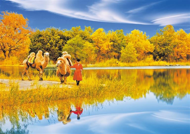 國慶長假，去金塔遇見最美胡楊