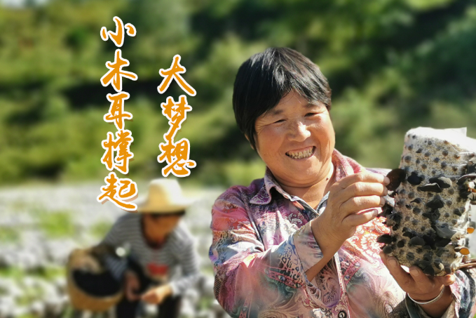 海報丨他們，乘“豐”破浪！