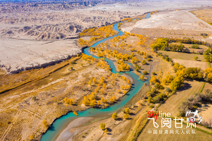 【飛閱甘肅】好美！疏勒河畔大地斑斕