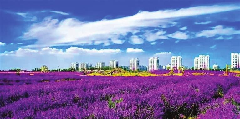 “三連冠”！金昌蟬聯(lián)全國文明城市