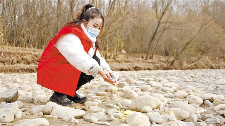 保護蘭州越冬候鳥 志愿者投食200斤