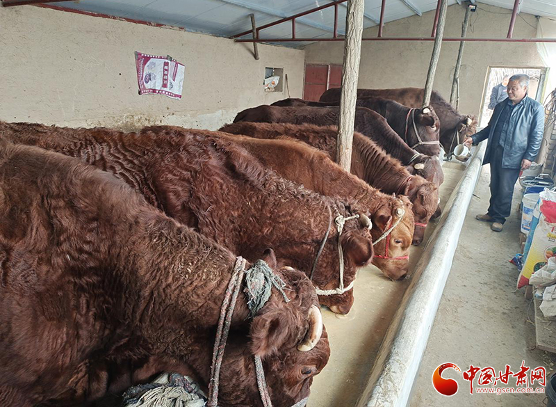 平?jīng)鰶艽ǎ骸芭！碑a(chǎn)業(yè)鋪就致富路