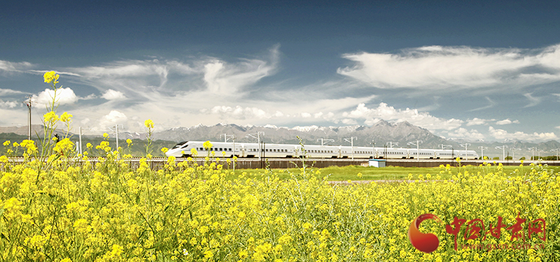 坐上火車“邂逅”春天，你可以這樣享“鐵路游”