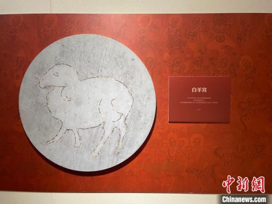 圖為展覽現(xiàn)場。　江楊燁 攝