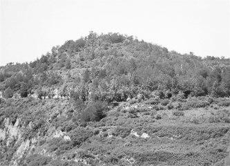 歷史眼丨張果老是正寧人？他與甘肅福緣不淺