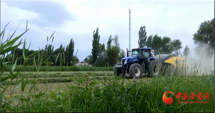 【小康圓夢·看甘肅】酒泉瓜州：現(xiàn)代農(nóng)業(yè)體系構(gòu)建蜜瓜大產(chǎn)業(yè)