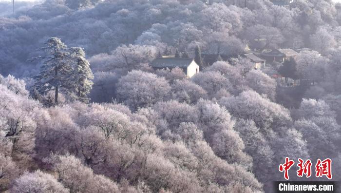圖為霧凇美景?！⌒煺袢A 攝