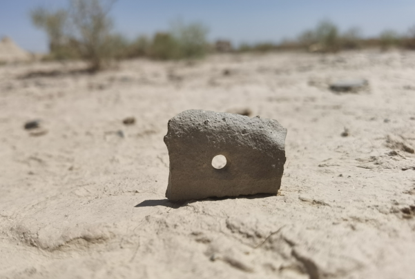 插圖1：河西走廊上遺存的古陶片。攝影：陳曉斌。拍攝日期：2020年6月。