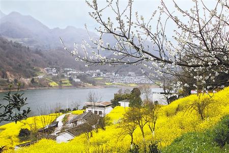 隴南文縣范壩鎮(zhèn)讓水河畔風光旖旎