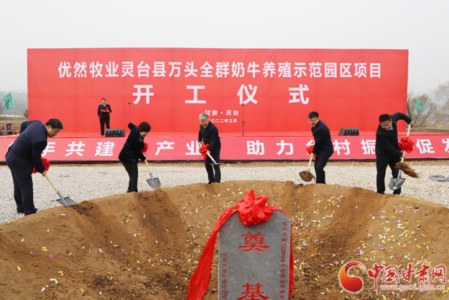 總投資7.2億元！優(yōu)然牧業(yè)靈臺縣萬頭全群奶牛養(yǎng)殖示范園區(qū)項目開工