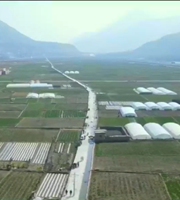 甘肅省將落實(shí)各項(xiàng)措施 堅決完成今年糧食播種面積