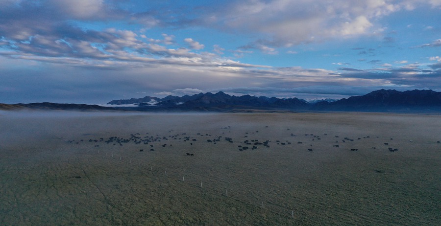 甘肅山丹馬場：峽谷云霧似仙境。 王超攝