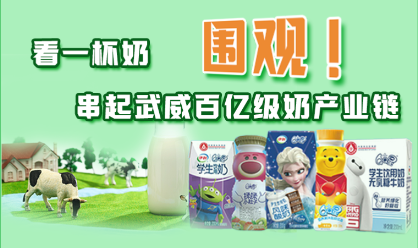 圖解|圍觀！看一杯奶串起武威百億級奶產(chǎn)業(yè)鏈