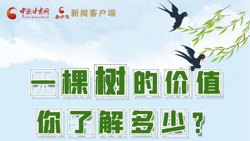 圖解|一棵樹的價(jià)值你了解多少?來(lái)看！