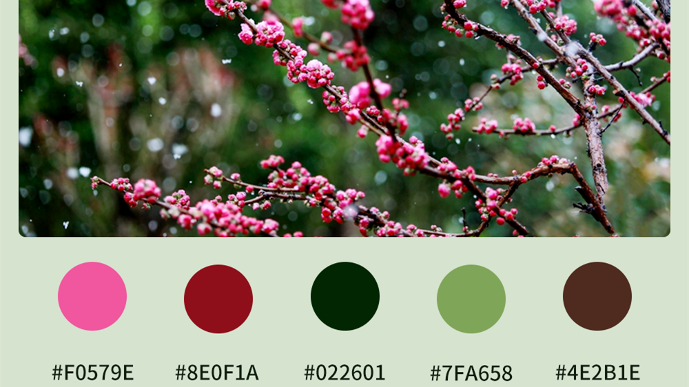 微海報(bào)|收藏！色卡里的春日甘肅