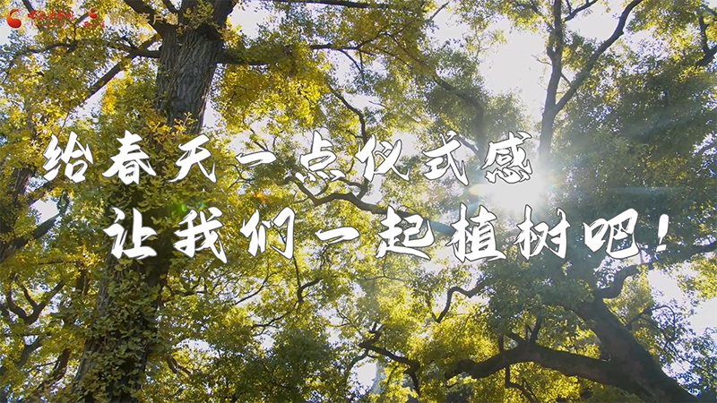短視頻|給春天一點(diǎn)儀式感，讓我們一起植樹(shù)吧！