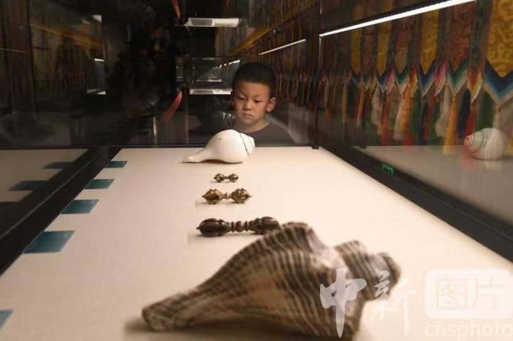 圖為展出的“白海螺法器”吸引小觀眾。 中新社記者 戴文昌 攝