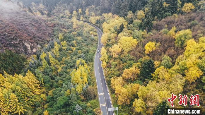 深秋，航拍位于蘭州市榆中縣的興隆山，景色如畫。金峯 攝</p>
<p>