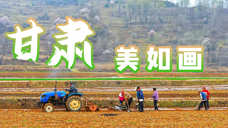 微海報(bào)|甘肅，美如畫(huà)