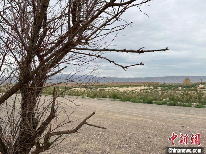 圖為位于長城墻體上的“馬面”或“敵臺”。　戴文昌 攝