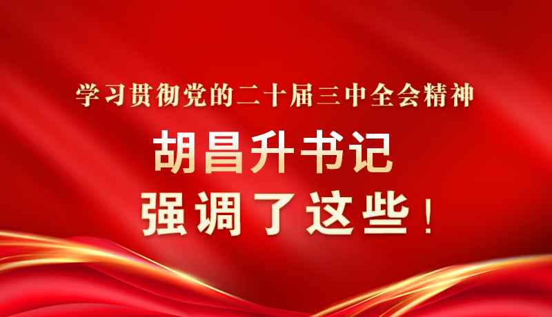圖解|學(xué)習(xí)貫徹黨的二十屆三中全會精神 胡昌升書記強調(diào)了這些！
