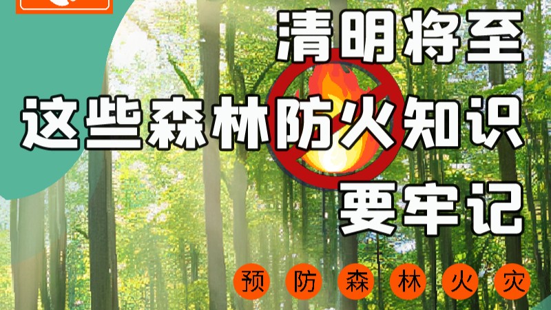 【甘快看】圖解|緊繃“安全弦”！清明，這些森林防火知識要牢記