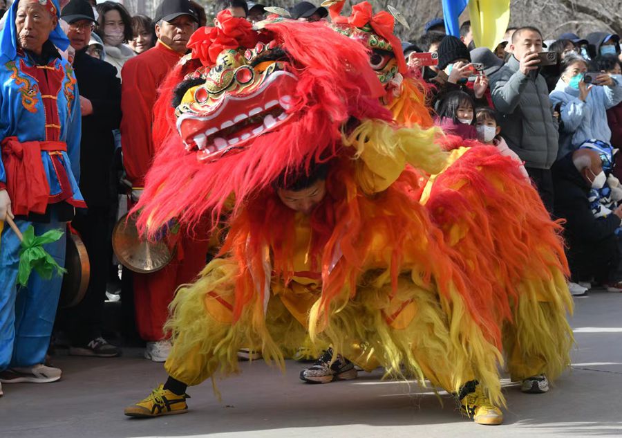 蘭州北獅表演現(xiàn)場(chǎng)。受訪者供圖