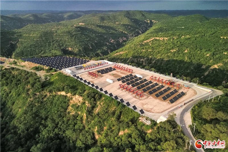 追光逐日 建設(shè)“綠”動油田