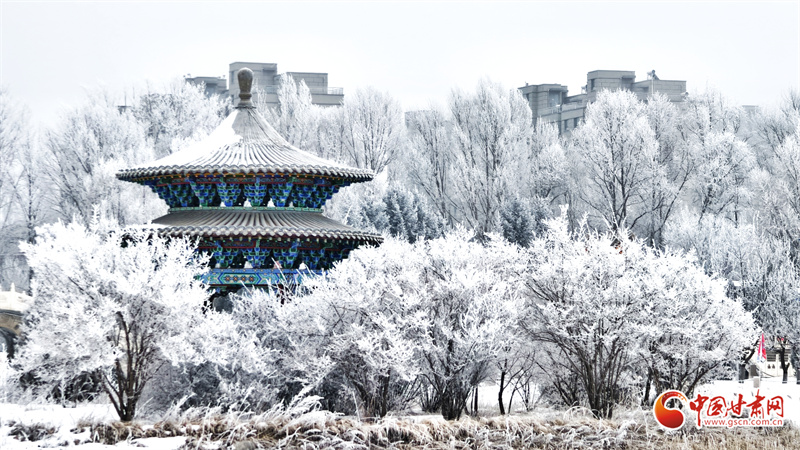 民樂(lè)縣雪后霧凇