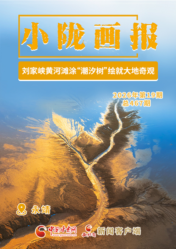 【小隴畫報·467期】劉家峽黃河灘涂“潮汐樹”繪就大地奇觀