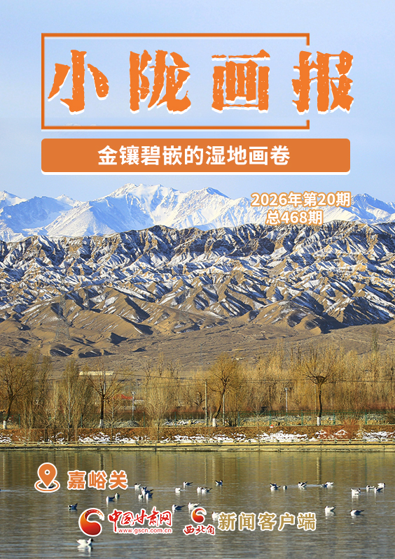 【小隴畫報·468期】嘉峪關：金鑲碧嵌的濕地畫卷