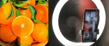 聲稱(chēng)“橙子提高免疫力”、“悲情助農(nóng)”等類(lèi)案頻發(fā)，敲響各單位直播帶貨警鐘