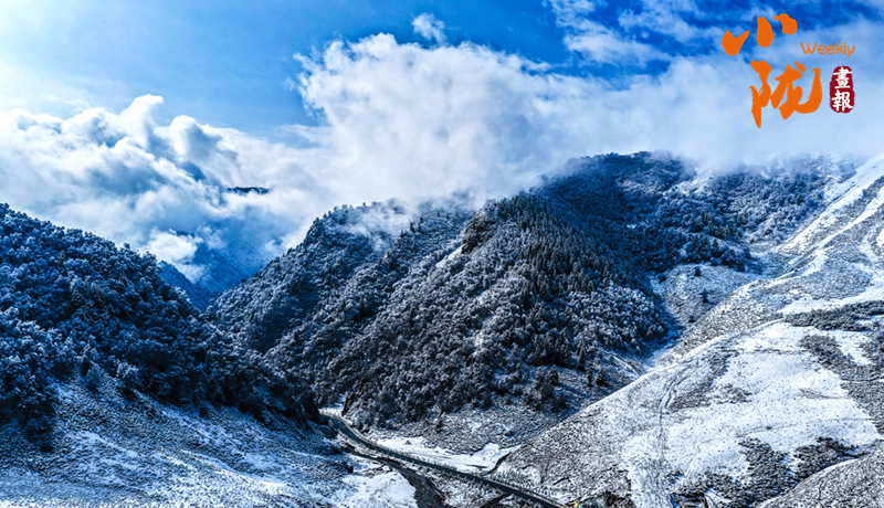  【小隴畫(huà)報(bào)·472期】春雪落天祝 揮就一幅潑墨寫(xiě)意