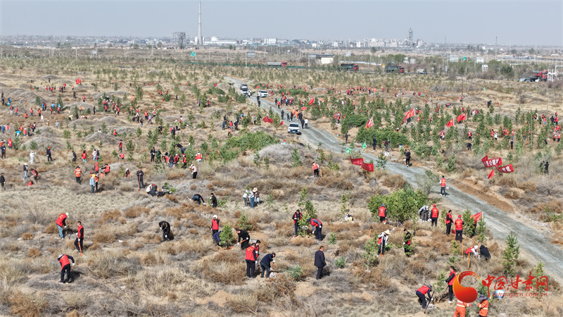 武威古浪林草治理成效顯著 239.3萬畝沙化土地添新綠